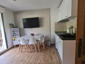 Appartement cosy à Châtel, 100m des pistes, balcon, WiFi, parking, jusqu'à 4 personnes - FR-1-676-105